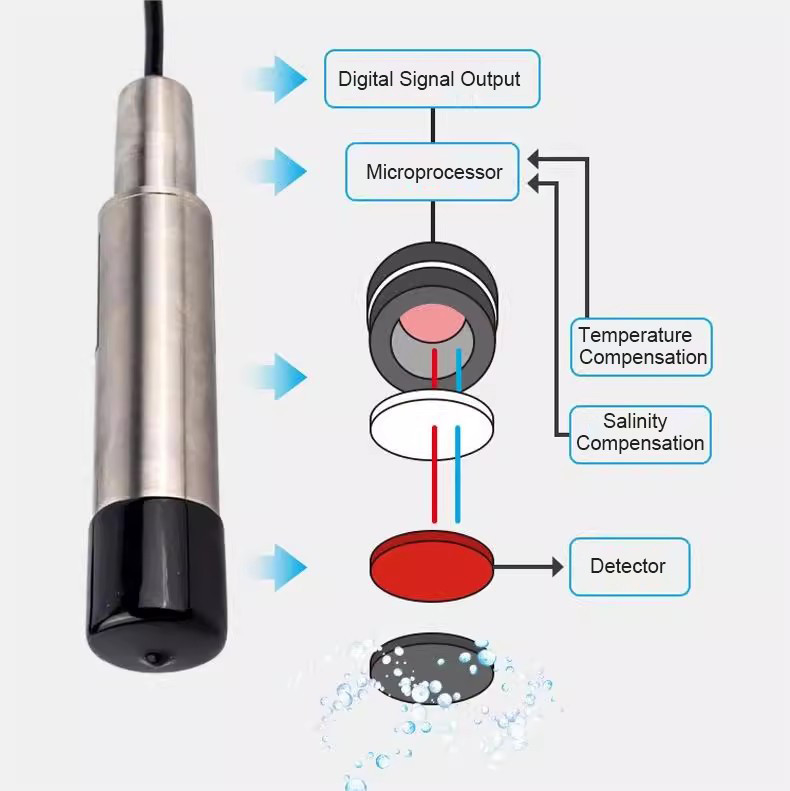IP68 DO Sensore di misura Meter Sonda per la misurazione accurata dell'ossigeno disciolto in acqua